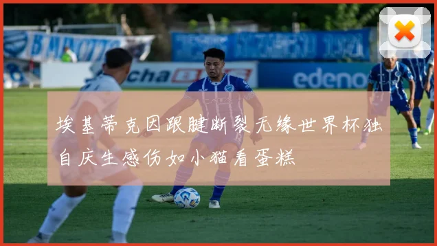 埃基蒂克因跟腱断裂无缘世界杯独自庆生感伤如小猫看蛋糕