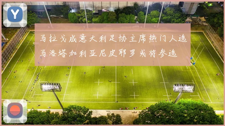 马拉戈成意大利足协主席热门人选马洛塔加利亚尼皮耶罗或将参选